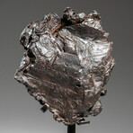 Sikhote Alin Meteorite on Metal Stand // 6.5lb