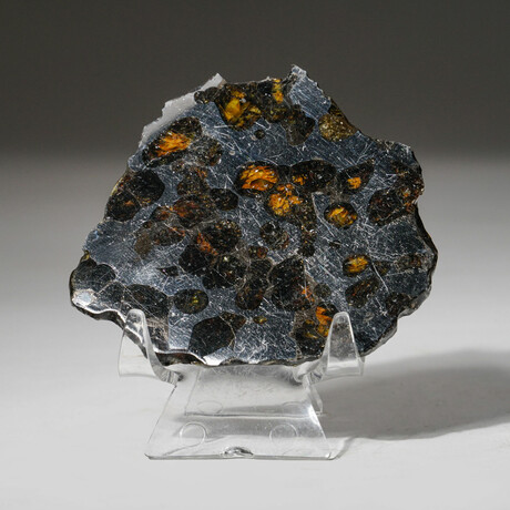 Seymchan Pallasite Meteorite Slice with Acrylic Display Stand // 43g