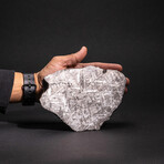 Muonionalusta Meteorite Slab // 7.5lb