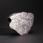 Muonionalusta Meteorite Slab // 7.5lb