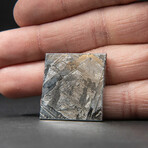 Natural Seymchan Meteorite Square Slice with Display Box // 15g