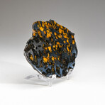 Natural Seymchan Pallasite Meteorite Slice + Acrylic Display Stand // 100g