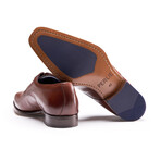 Derby Shoes // Brown (US: 10)