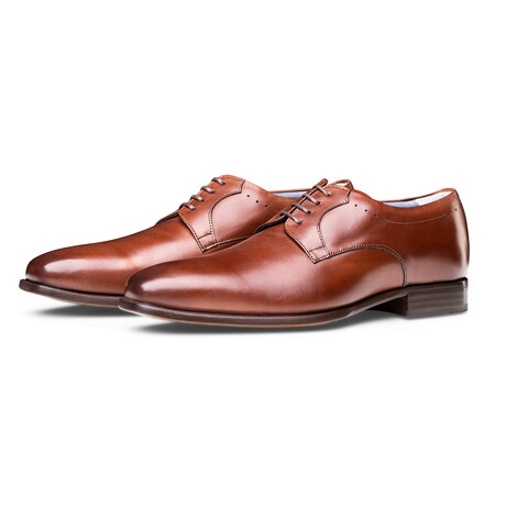 Derby Shoes // Brown (US: 8)
