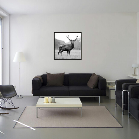 Proud Deer by PhotoINC Studio (18"H x 18"W x 0.75"D)