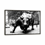 Wall Street Bull Black & White by Unknown Artist (18"H x 26"W x 0.75"D)