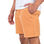 Knit Shorts // Terrain (XL)