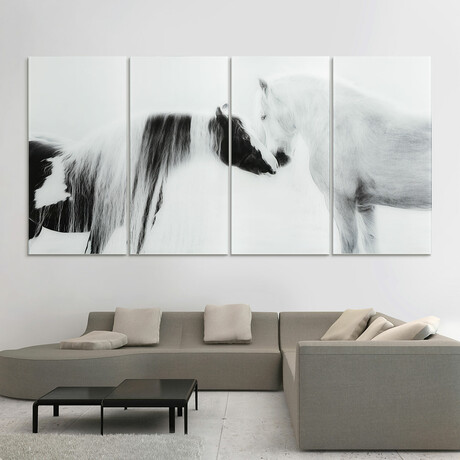 Collection of Horses // Set of 4