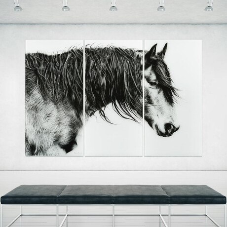 Black and White Horse Portrait // Set of 3