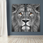 King of the Jungle Lion // Set of 2