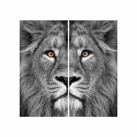 King of the Jungle AB  // Frameless Free Floating Reverse Printed Tempered Glass Wall Art