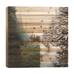 Jumping Tiger by Shaun Ryken (26"H x 26"W x 1.5"D)