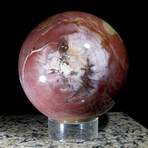Petrified Wood Sphere // Large