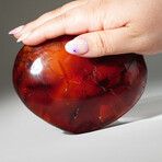 Genuine Polished Carnelian Heart V2 + Acrylic Display Stand // 1.95lb