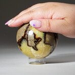Genuine Polished Septarian Sphere + Acrylic Display Stand // 1.35lb
