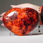 Genuine Polished Carnelian Heart V1 + Acrylic Display Stand // 1.95lb