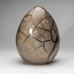 Septarian Druzy Egg from Madagascar // 14.5lb