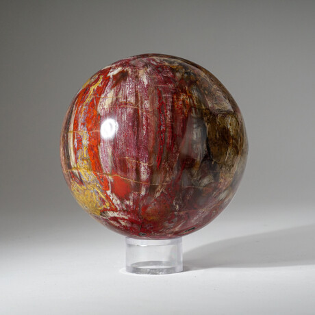 Genuine Polished Petrified Wood Sphere + Acrylic Display Stand // 7.3lb