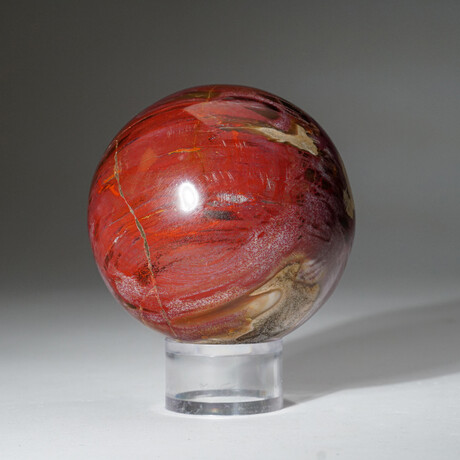 Genuine Polished Petrified Wood Sphere + Acrylic Display Stand // 2.4lb