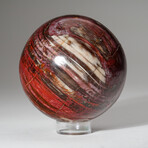 Genuine Polished Petrified Wood Sphere + Acrylic Display Stand // 2.6lb