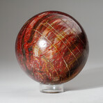 Genuine Polished Petrified Wood Sphere + Acrylic Display Stand // 2.6lb