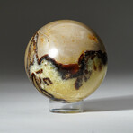 Genuine Polished Septarian Sphere + Acrylic Display Stand // 1.35lb