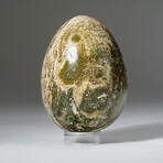 Genuine Polished Ocean Jasper Egg + Acrylic Display Stand // 1.53lb