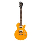 Electric Guitar Combo Pack // Fret Zealot + Epiphone Slash "AFD" Les Paul Special-II Performance Pack