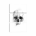 Skull XLVI by Alexis Marcou