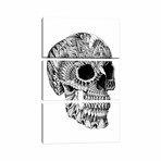 Ornate Skull by Bioworkz
