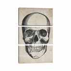 Skull Vintage Sketch by FisherCraft