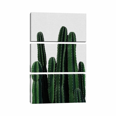 Cactus I by Orara Studio