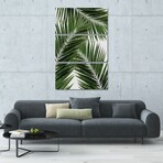 Palm Leaf III by Orara Studio