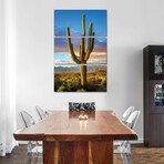 Sunset Saguaro National Park East III by Susanne Kremer