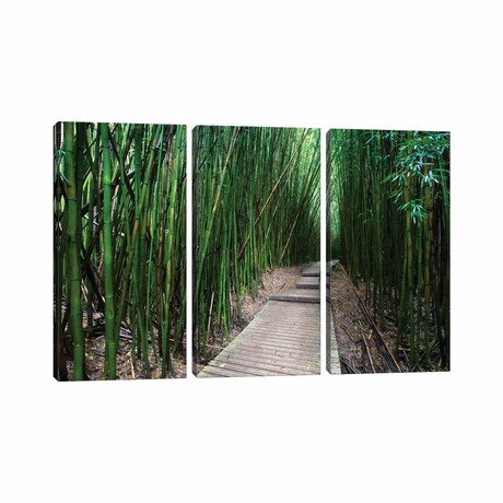 Boardwalk Through Bamboo V by Panoramic Images