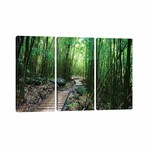 Boardwalk Through Bamboo IV by Panoramic Images