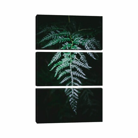 Forest Fern by The Love Shop