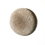 Cowrie Shell Shield // Cameroon // Ver. 1