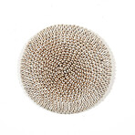 Cowrie Shell Shield // Cameroon // Ver. 2