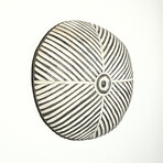 Shield From Cameroon // Ver. 6