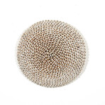 Cowrie Shell Shield // Cameroon // Ver. 1