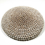 Cowrie Shell Shield // Cameroon // Ver. 1