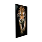 Animal Series // Tiger (48"H x 16"W x 0.5"D)