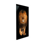 Animal Series // Lion (48"H x 16"W x 0.5"D)
