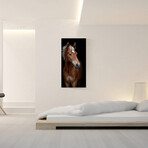 Animal Series // Horse (48"H x 16"W x 0.5"D)