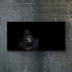 Animal Series // Gorilla (16"H x 48"W x 0.5"D)
