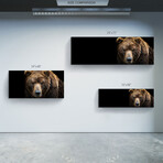 Animal Series // Bear (16"H x 48"W x 0.5"D)