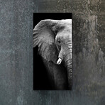 Animal Series // Elephant (48"H x 16"W x 0.5"D)