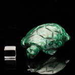 Malachite Carving // Turtle