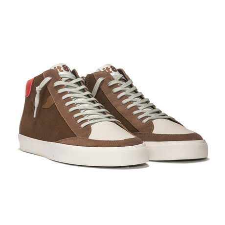 Chestnut // Brown + White (US: 7)